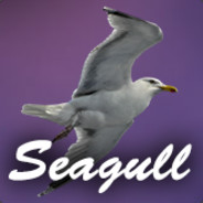 Lol It's Seagull